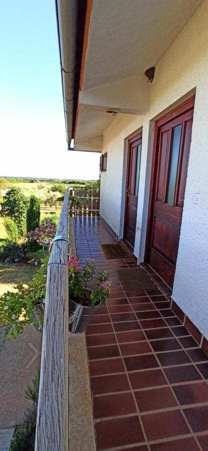 Lily'S & Tean Apartments Porec Bagian luar foto